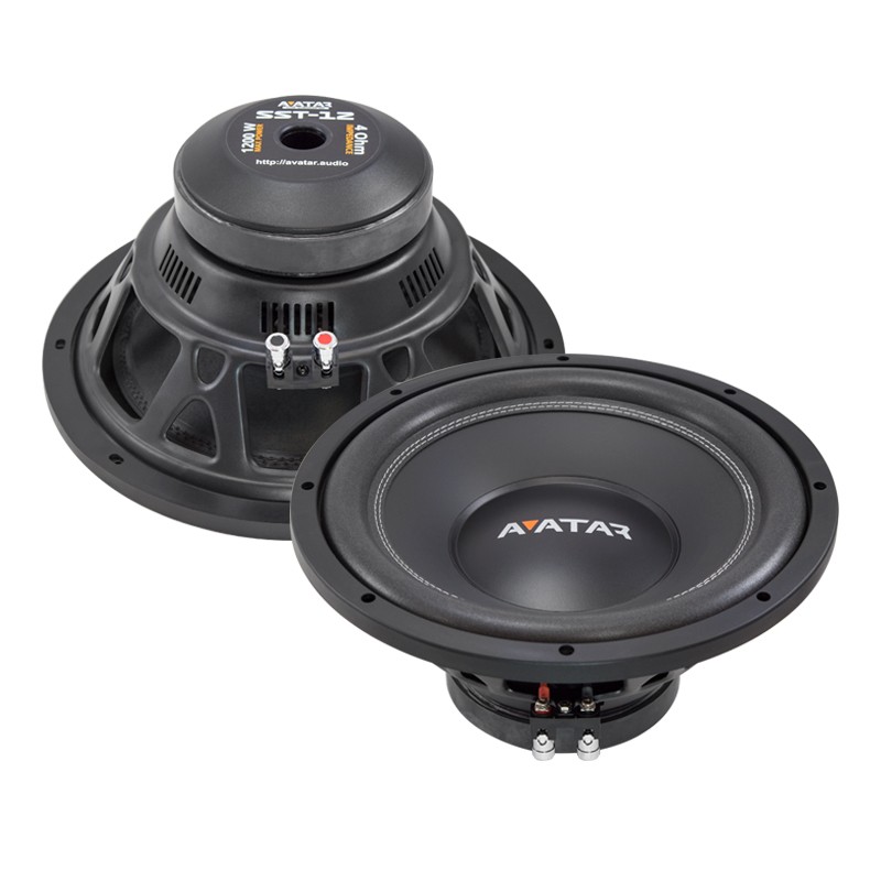 avatar sst 12